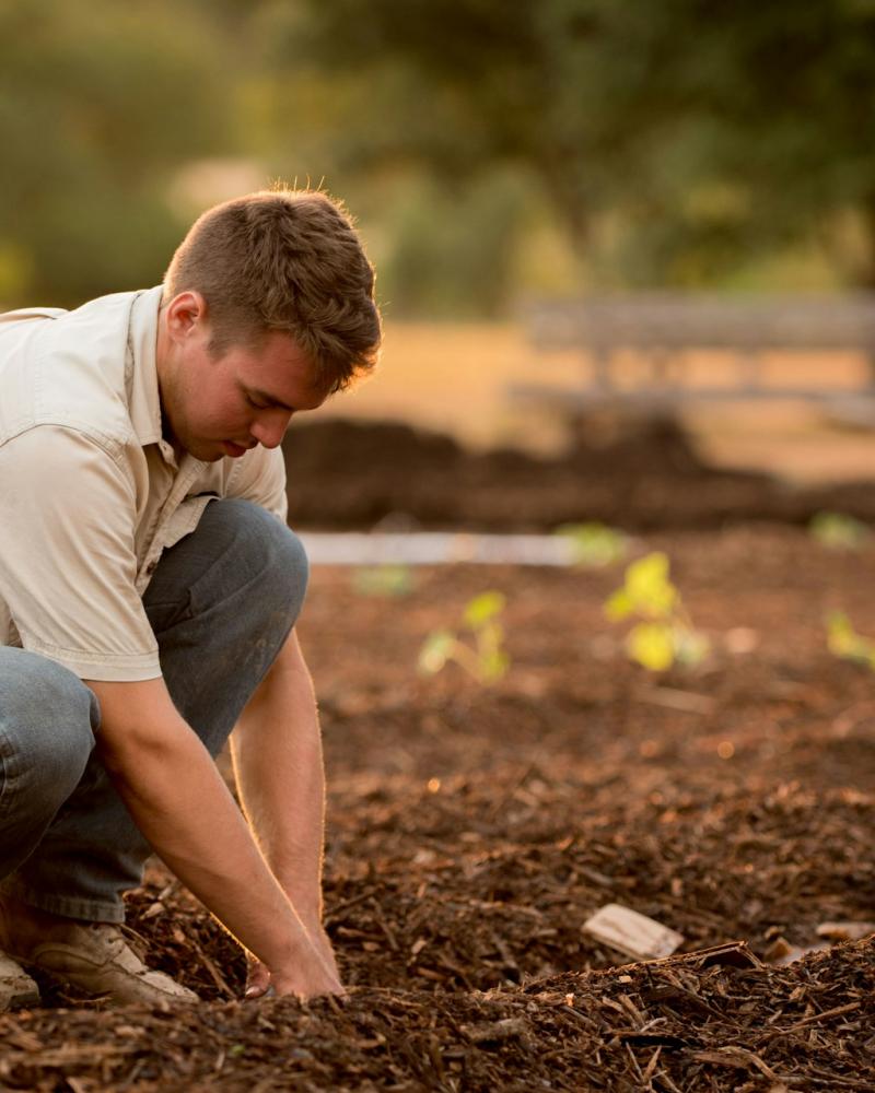 Compost