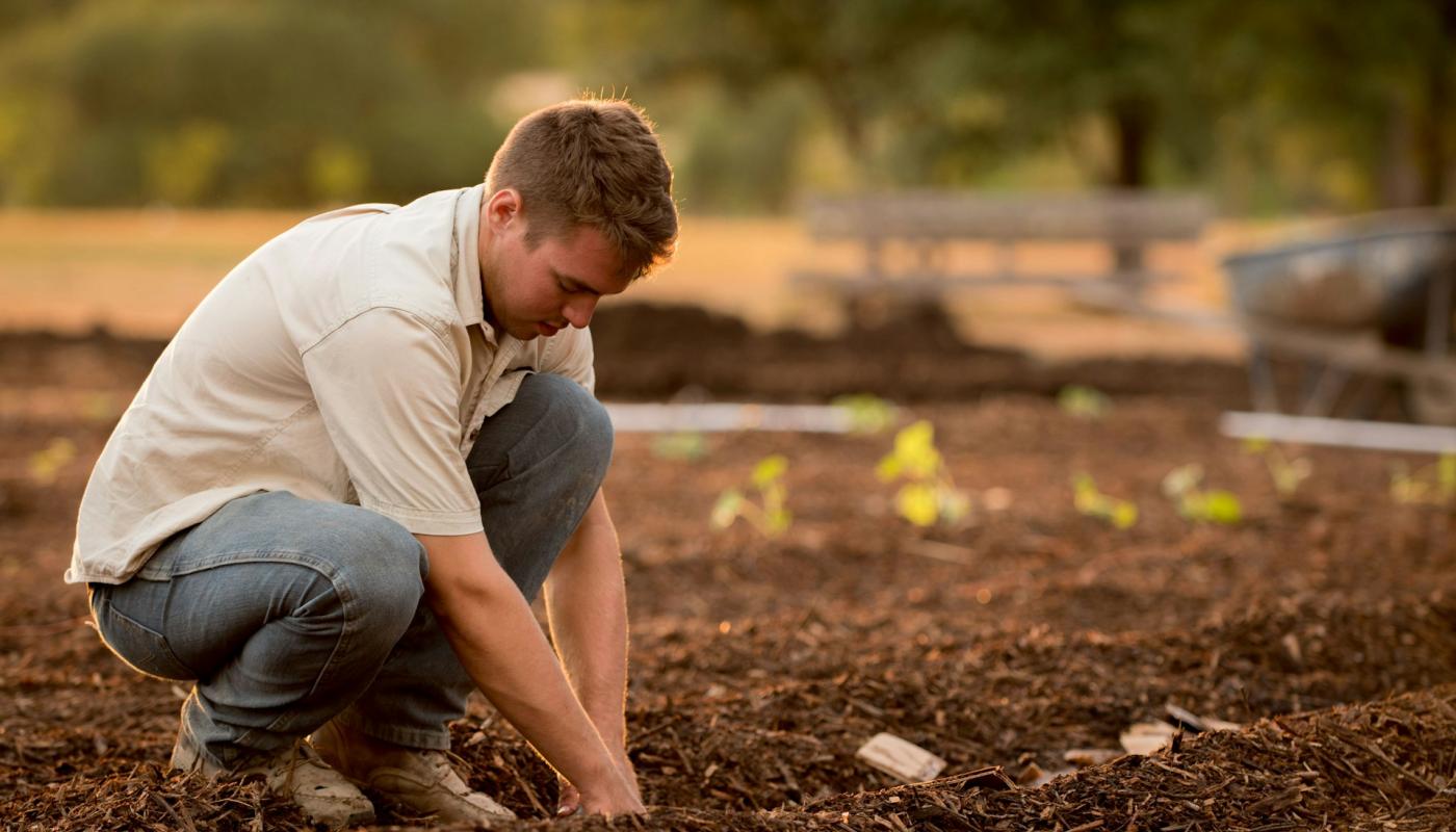 Compost