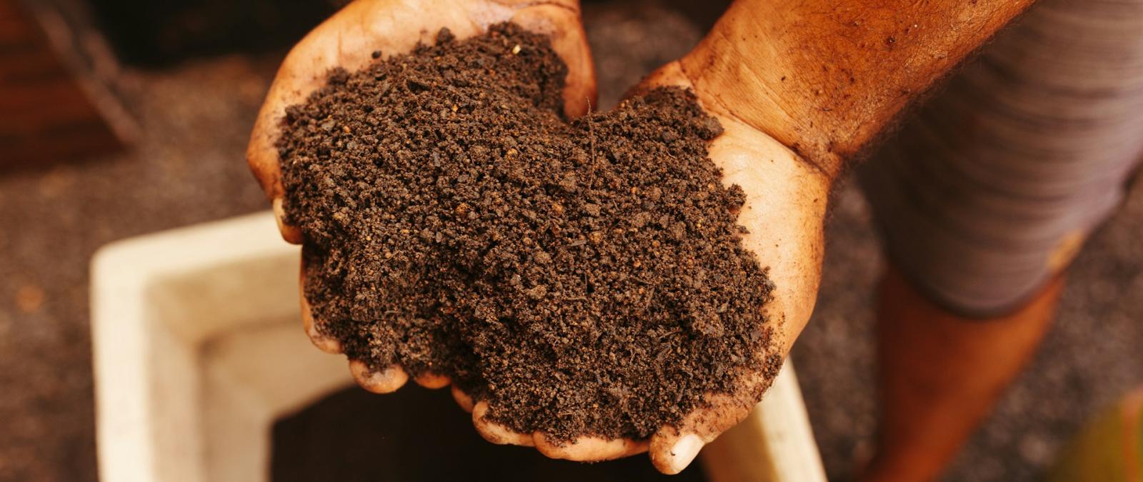 soil